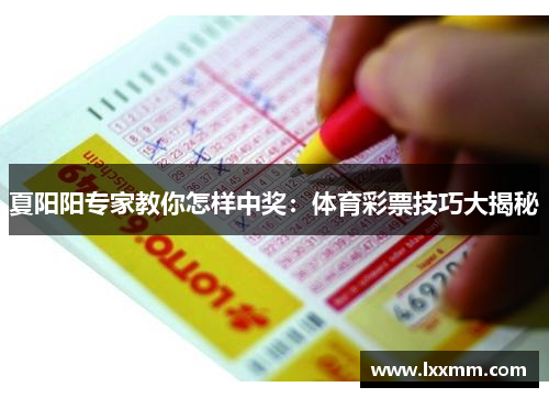 夏阳阳专家教你怎样中奖：体育彩票技巧大揭秘