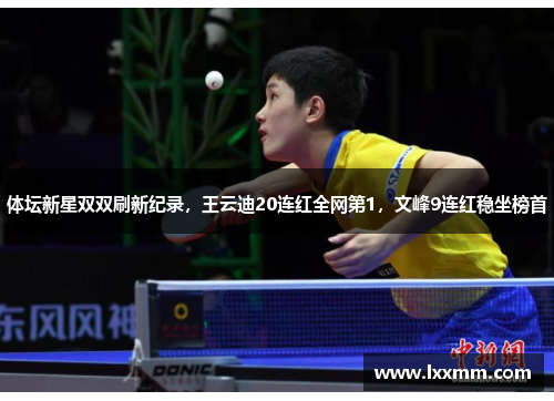体坛新星双双刷新纪录，王云迪20连红全网第1，文峰9连红稳坐榜首