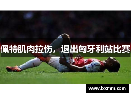 佩特肌肉拉伤，退出匈牙利站比赛
